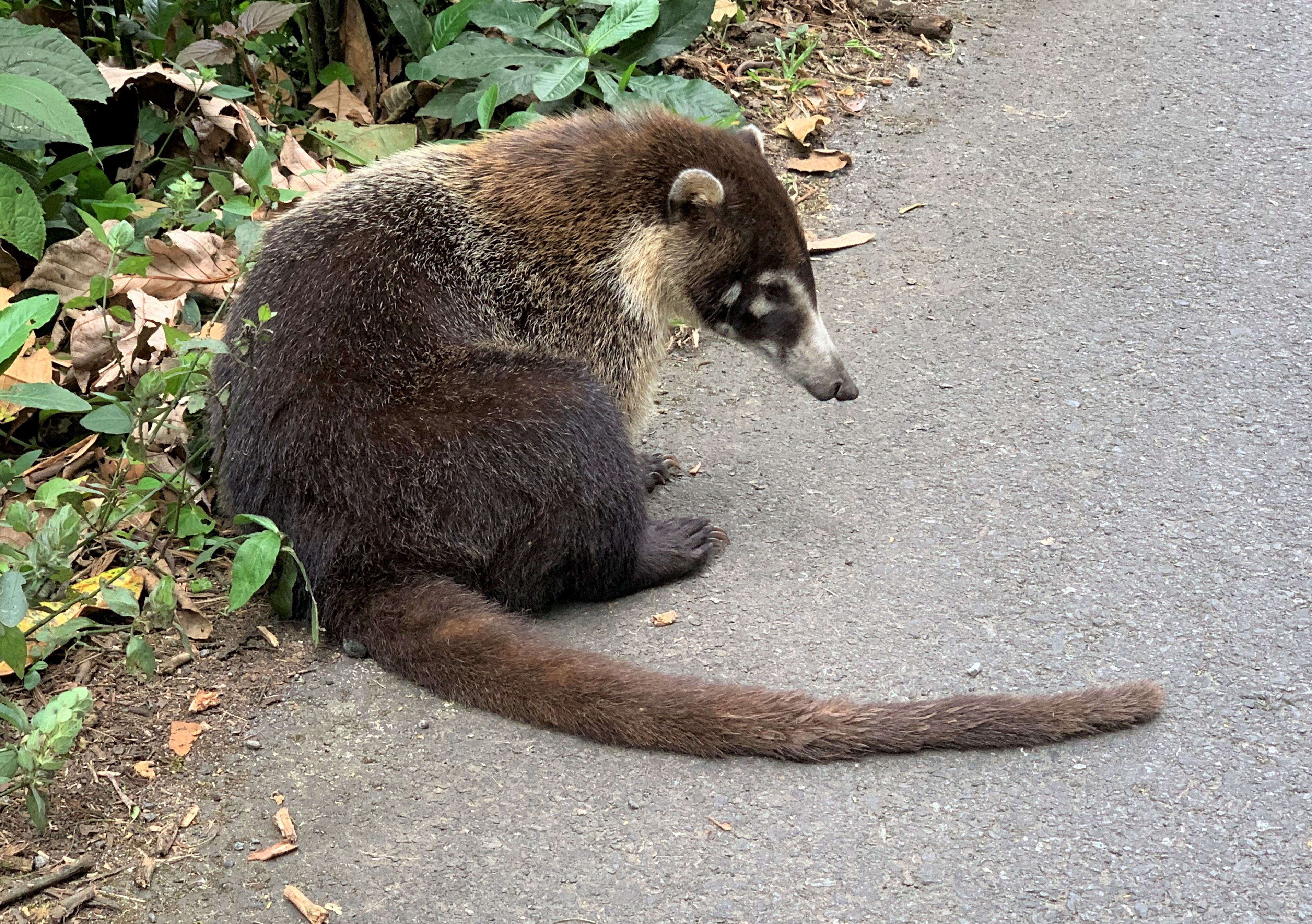 Costa Rica